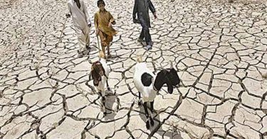 Desertification, Pakistan, Water,